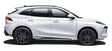 Forthing T5 EVO