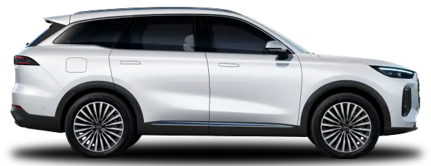 Tiggo 9